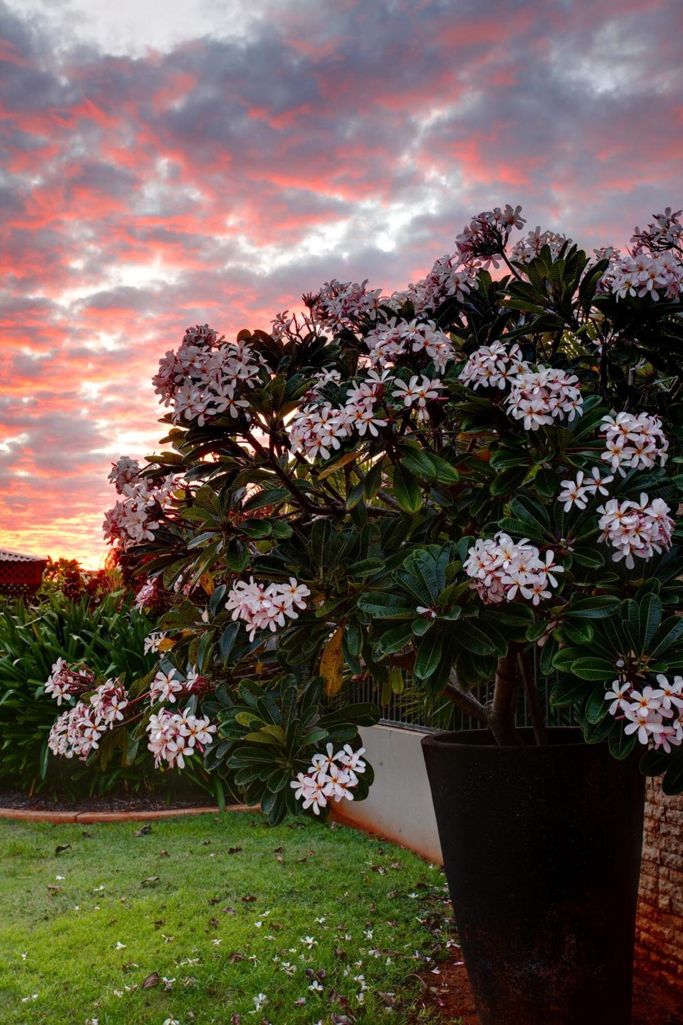 Mantra Frangipani Broome Exterior photo